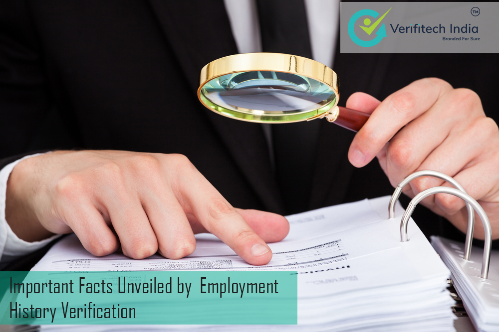 Important Facts Unveiled by Employment History Verification - Verifitech