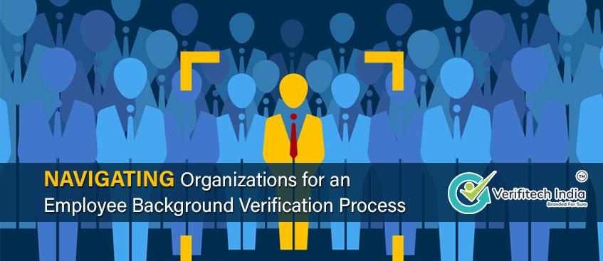 Navigating Organizations for an Employee Background Verification Process - Verifitech